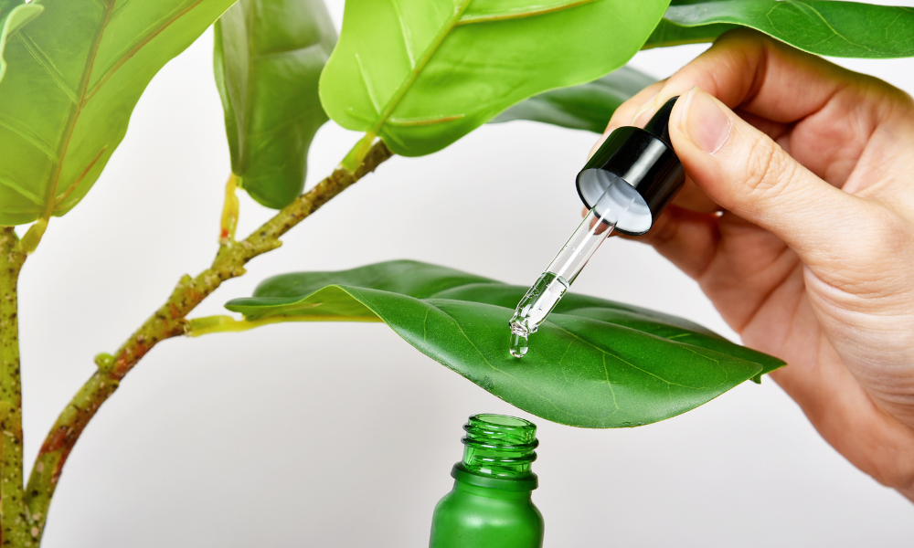 Using Neem Oil